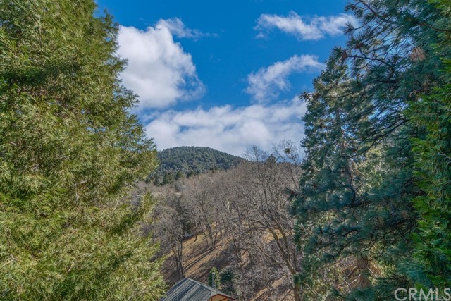 347 Donner Drive Crestline, CA 92325 - Photo 10 of 27 a view of a yard