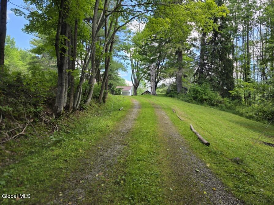 419 Halbert Hill Road Butternuts, NY 13843 - Photo 42 of 48 20260624_104947