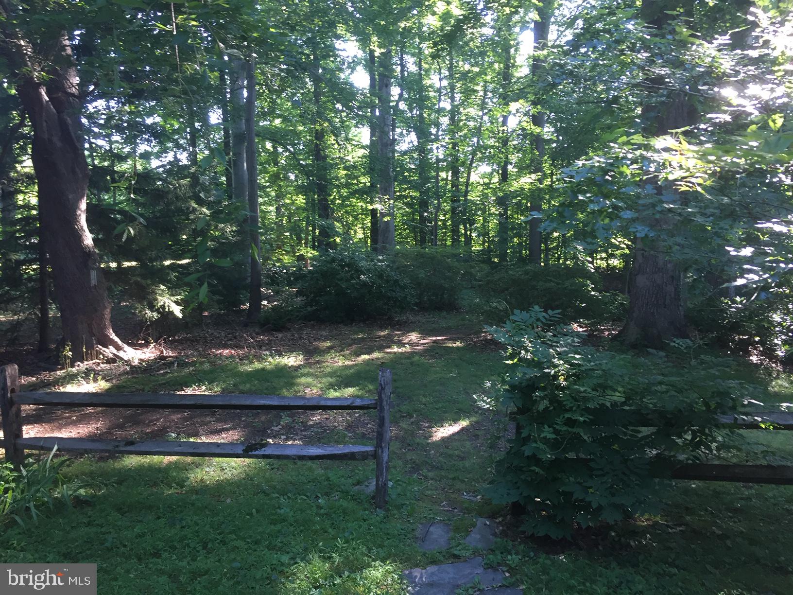 5510 Chelsea Road Aston, PA 19014 - Photo 6 of 31 Front Yard