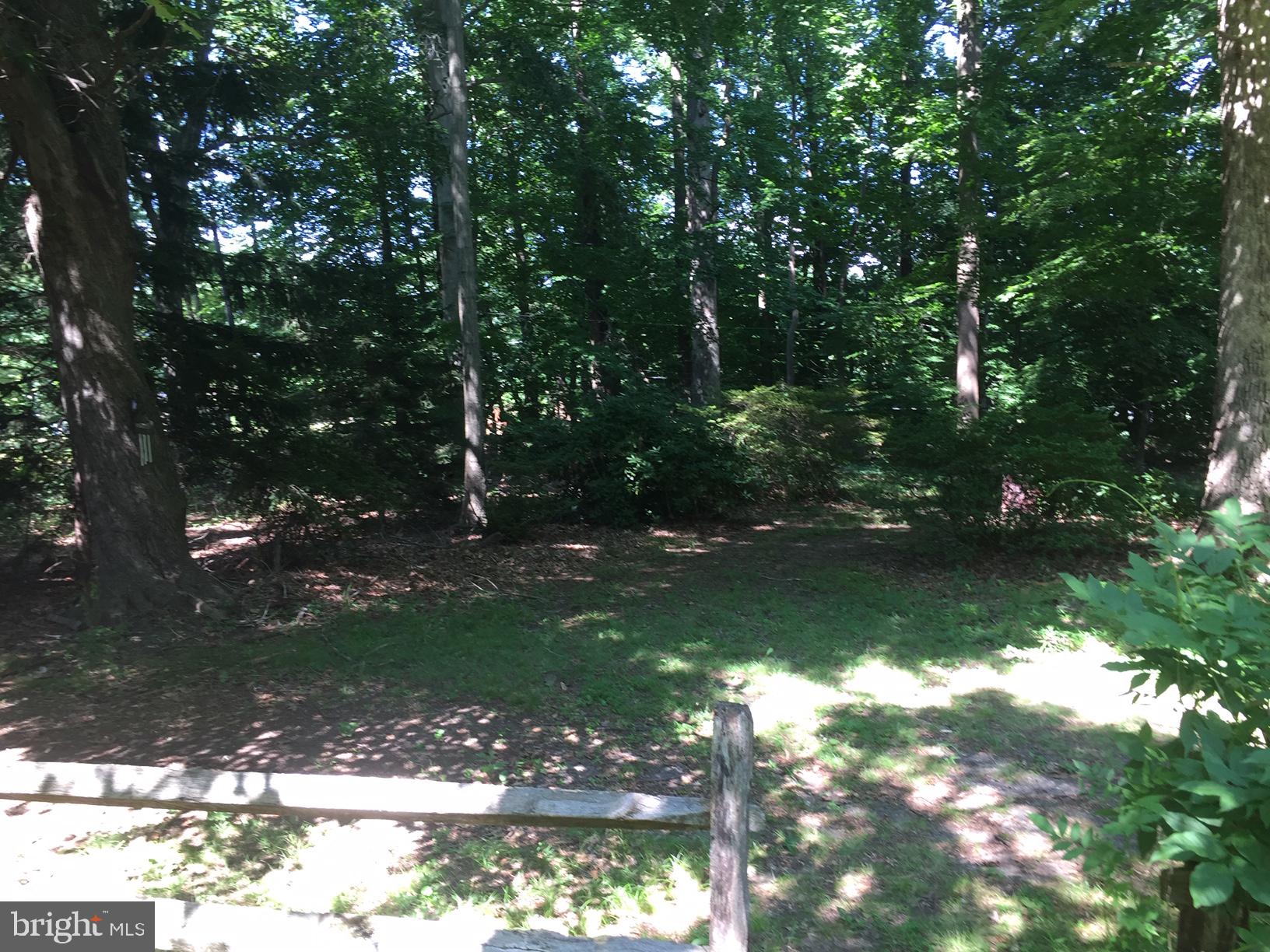 5510 Chelsea Road Aston, PA 19014 - Photo 7 of 31 Front Yard