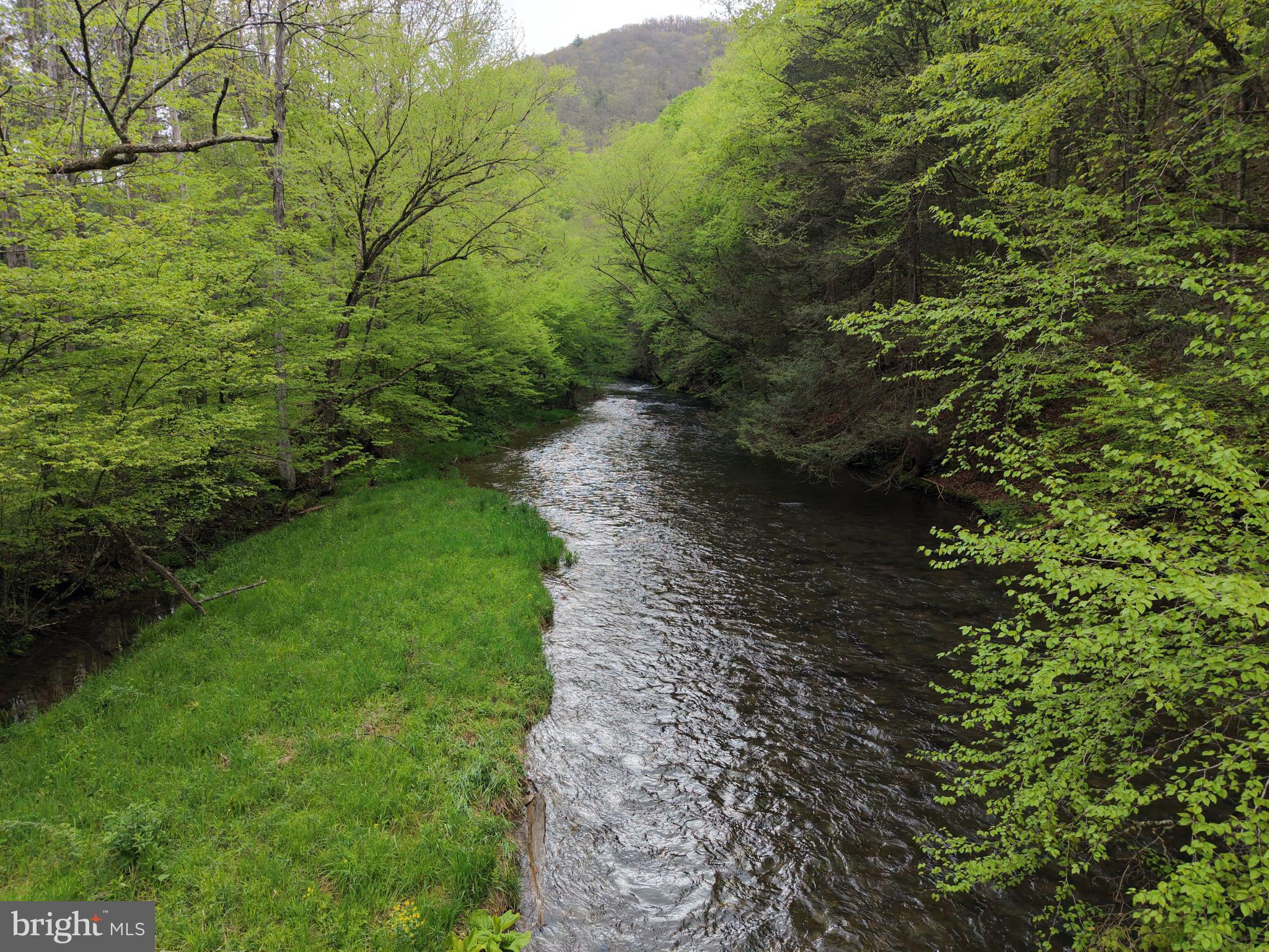 1227 Cross Fork Creek Road Cross Fork, PA 17729 - Photo 39 of 139