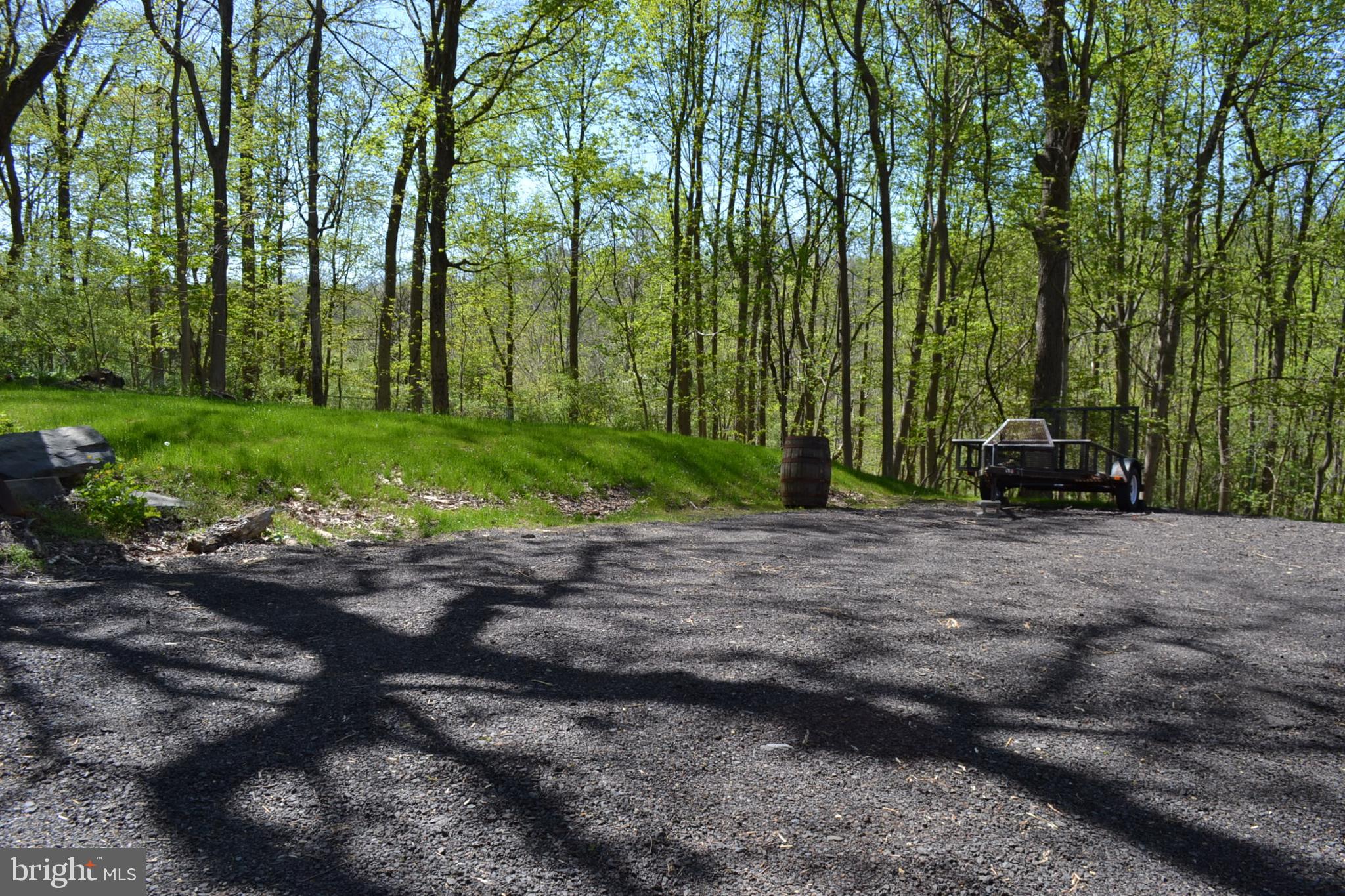 7201 Swagger Road New Hope, PA 18938 - Photo 26 of 33 Trees, 4 Car Parking Driveway