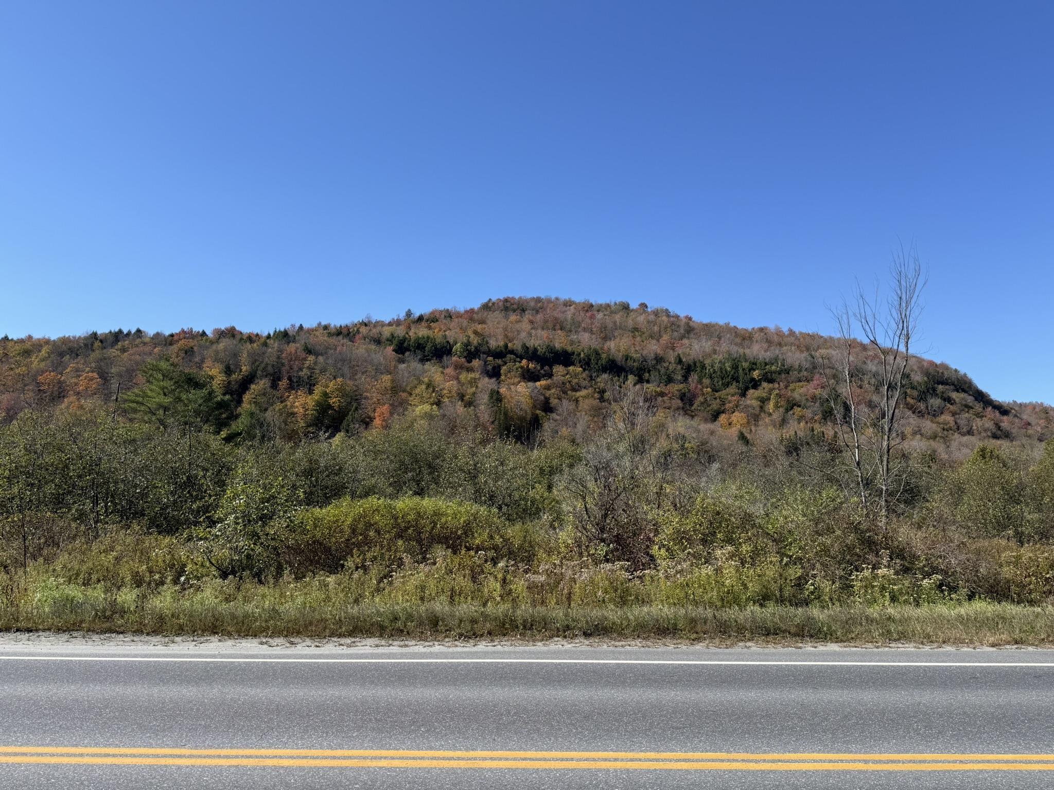 0 Vt Rt 14 South Hardwick, VT 05843 - Photo 1 of 8