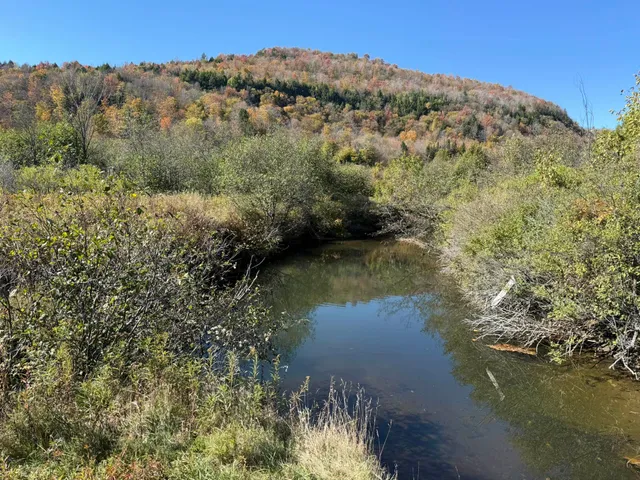 $15,000 | 0 Vt Rt 14 South, Hardwick, VT 05843