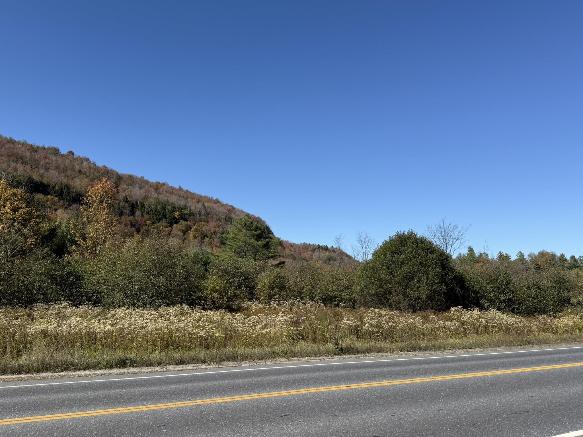 0 Vt Rt 14 South Hardwick, VT 05843 - Photo 4 of 8