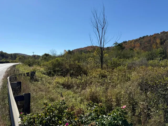 $15,000 | 0 Vt Rt 14 South, Hardwick, VT 05843