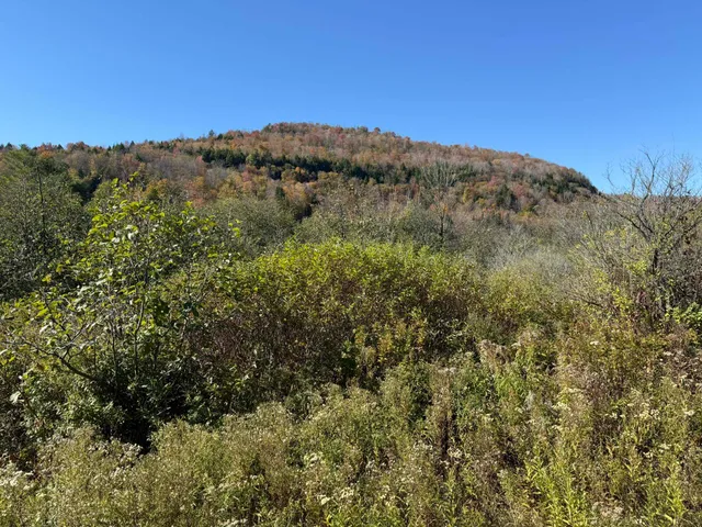 $15,000 | 0 Vt Rt 14 South, Hardwick, VT 05843