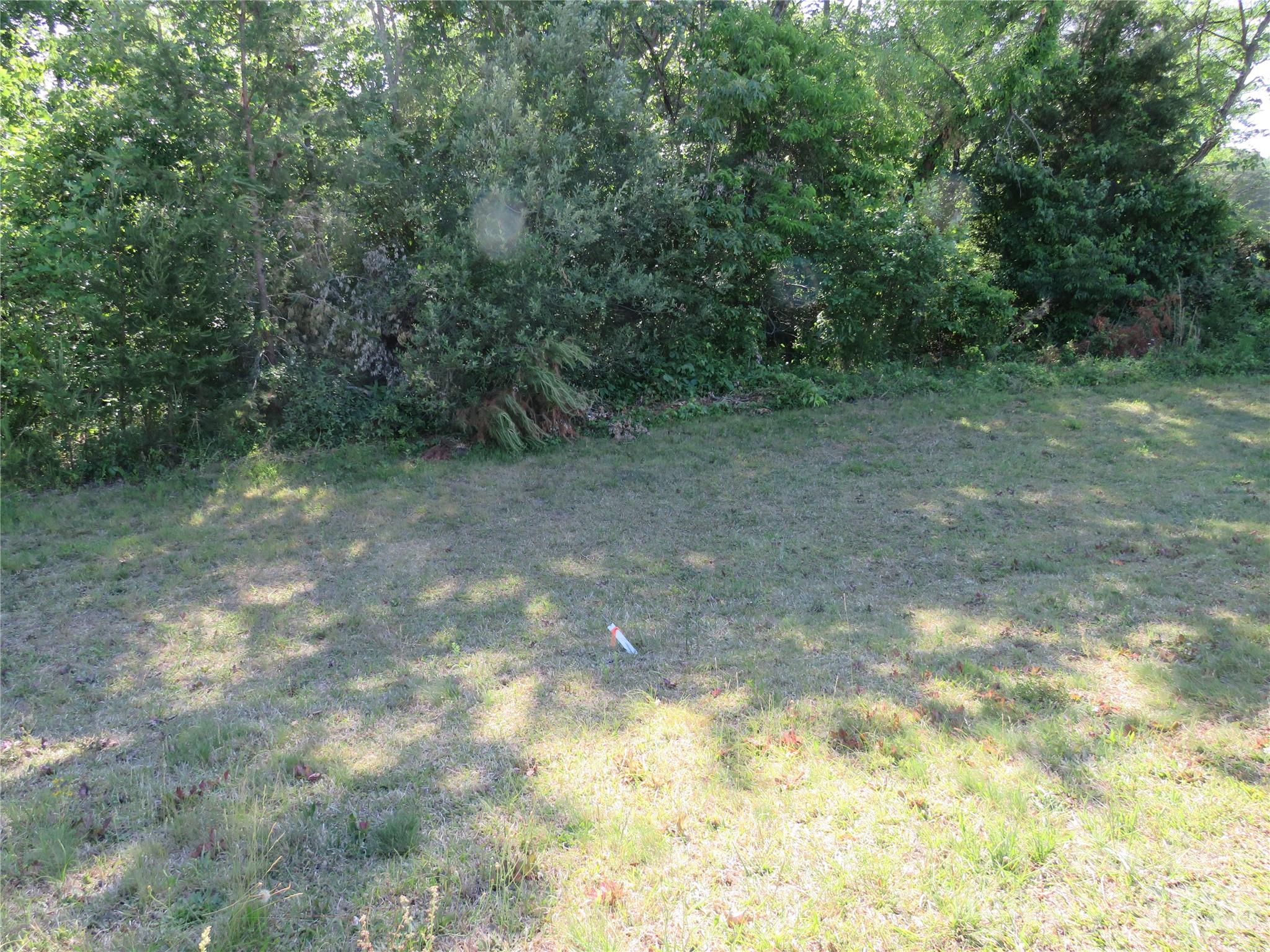 0 Blue Sapphire Lane Rutherfordton, NC 28139 - Photo 15 of 25