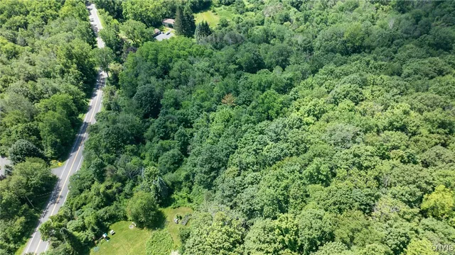 $57,500 | L1 Henneberry Road, Jamesville, NY 13078