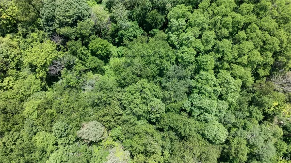 $39,900 | L1 Henneberry Road, Jamesville, NY 13078