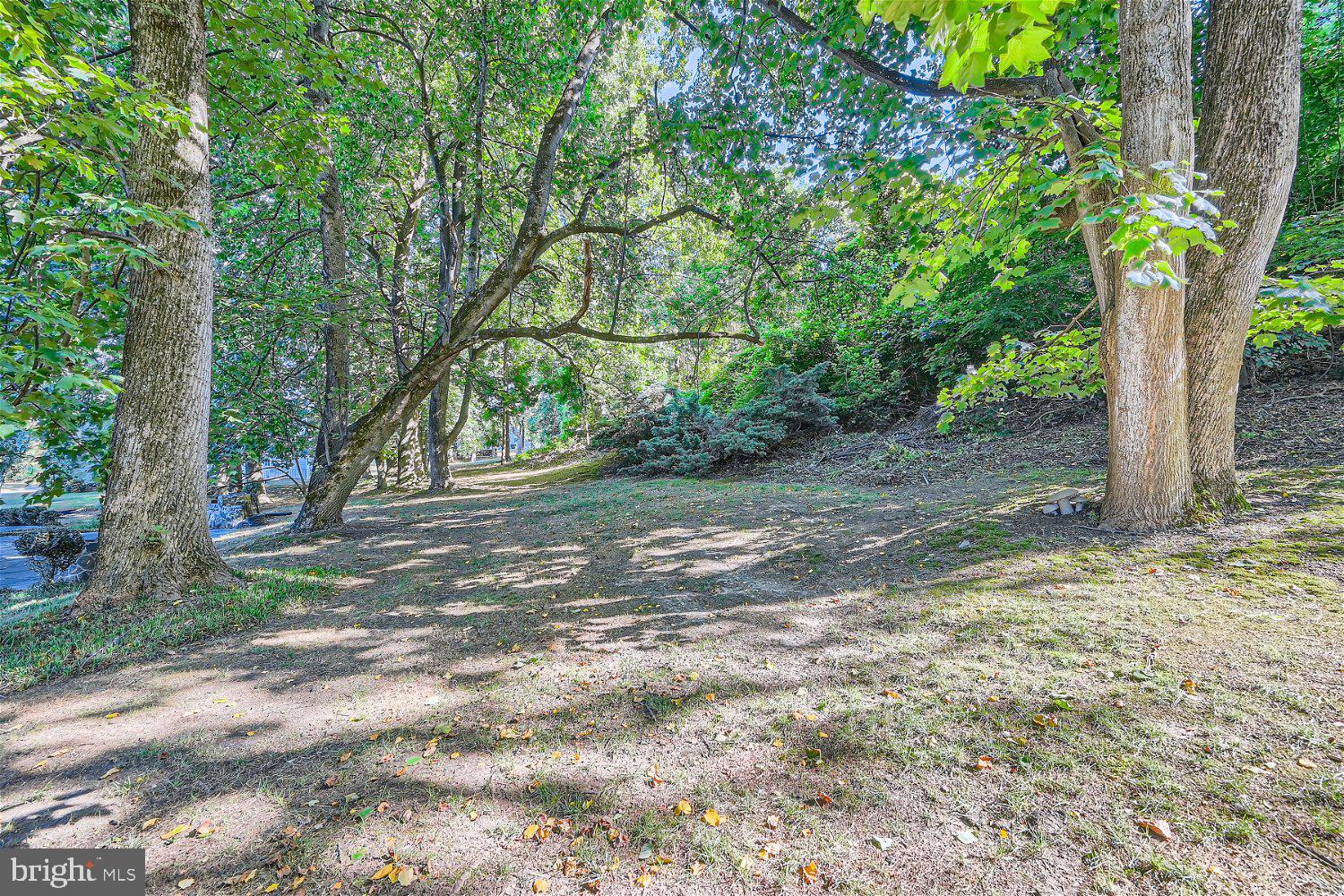 3205 Dunwood Ridge Terrace Bowie, MD 20721 - Photo 44 of 52 Exterior Lot