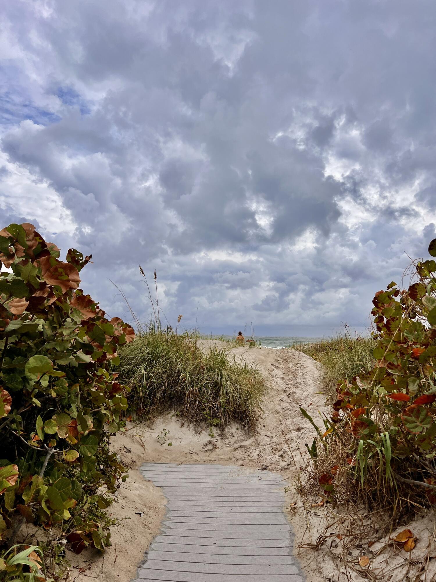 3400 North Ocean Drive, Unit 1806 Singer Island, FL 33404 - Photo 49 of 55 a view of a dry yard with wooden fence