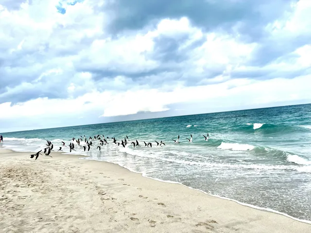 $6,750 | 3400 North Ocean Drive, Unit 1806, Riviera Beach, FL 33404