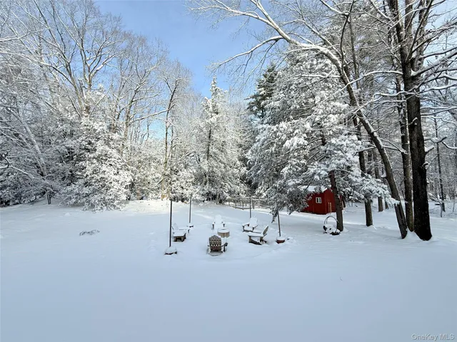 a view of bench and trees