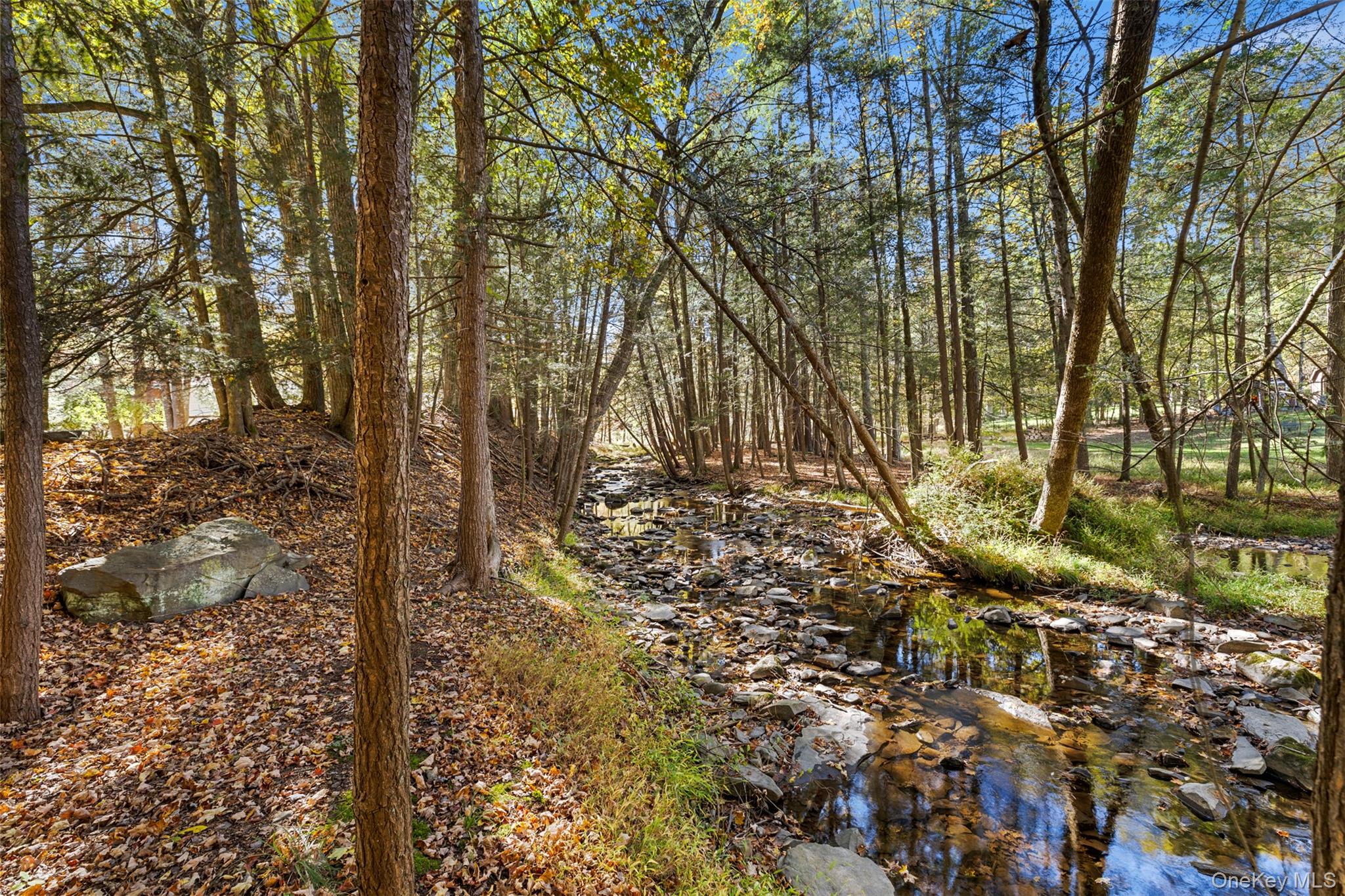 90 Van Dale Road Woodstock, NY 12498 - Photo 46 of 49 a view of yard