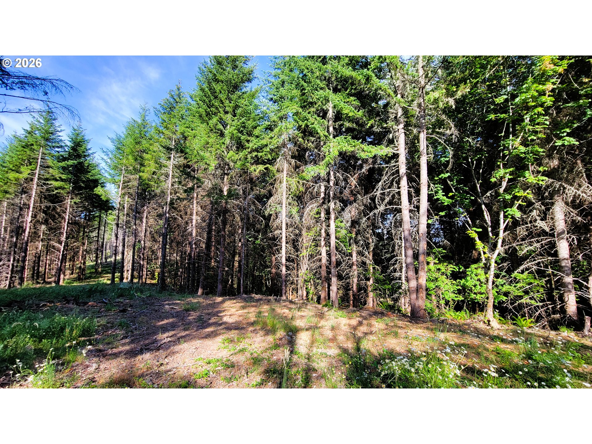 86820 Northill Ranch Road Eugene, OR 97402 - Photo 26 of 30