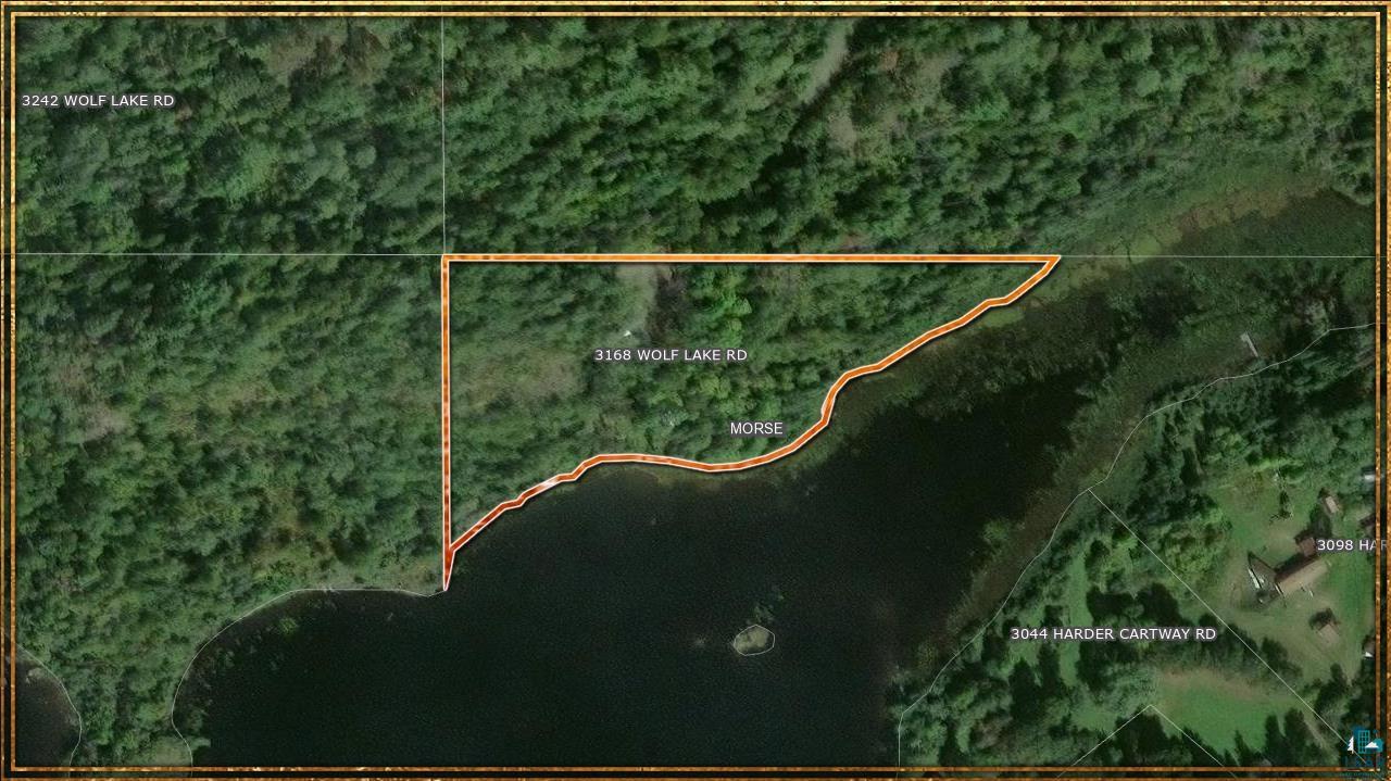 3168 Wolf Lake Road Ely, MN 55731 - Photo 3 of 48