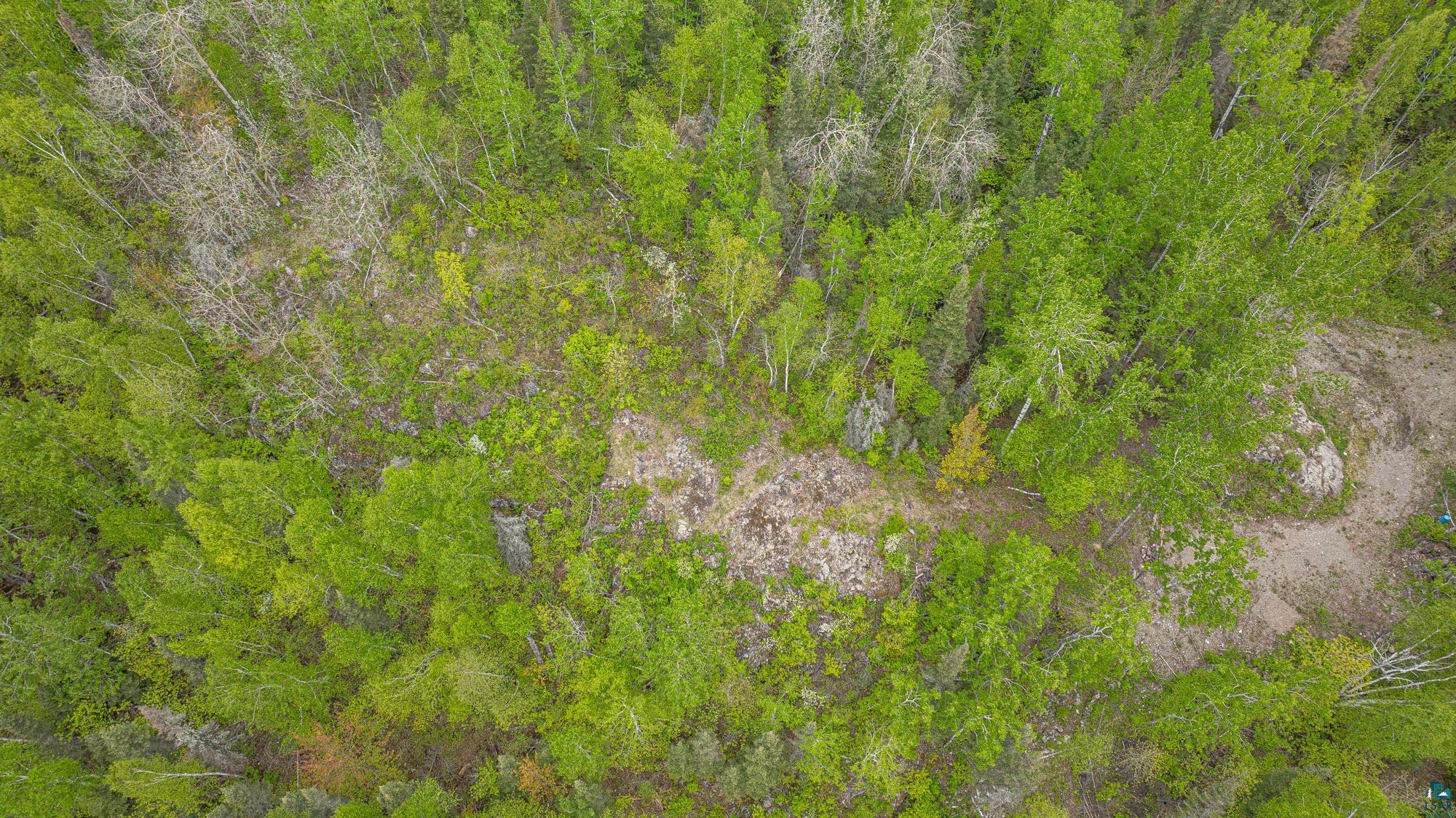 3168 Wolf Lake Road Ely, MN 55731 - Photo 39 of 48