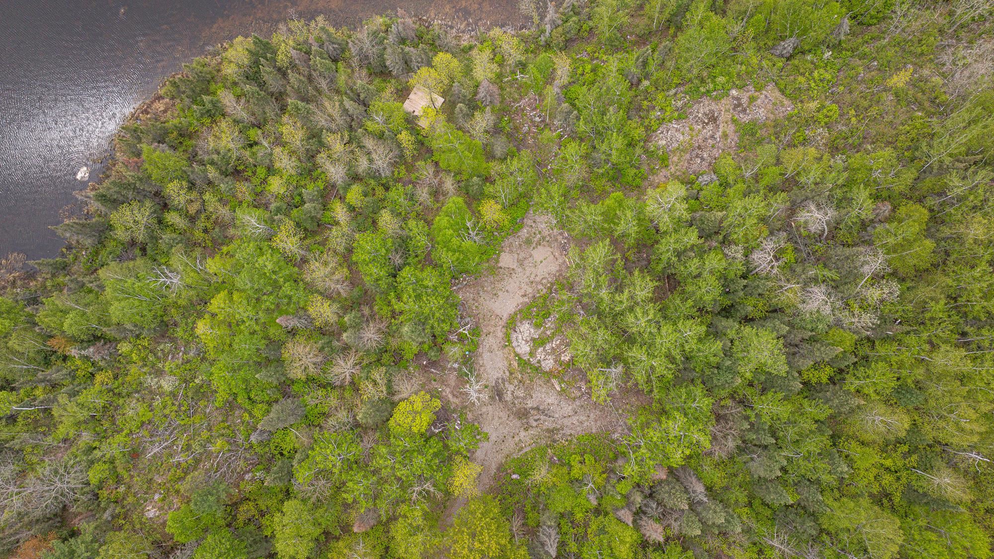 3168 Wolf Lake Road Ely, MN 55731 - Photo 4 of 48