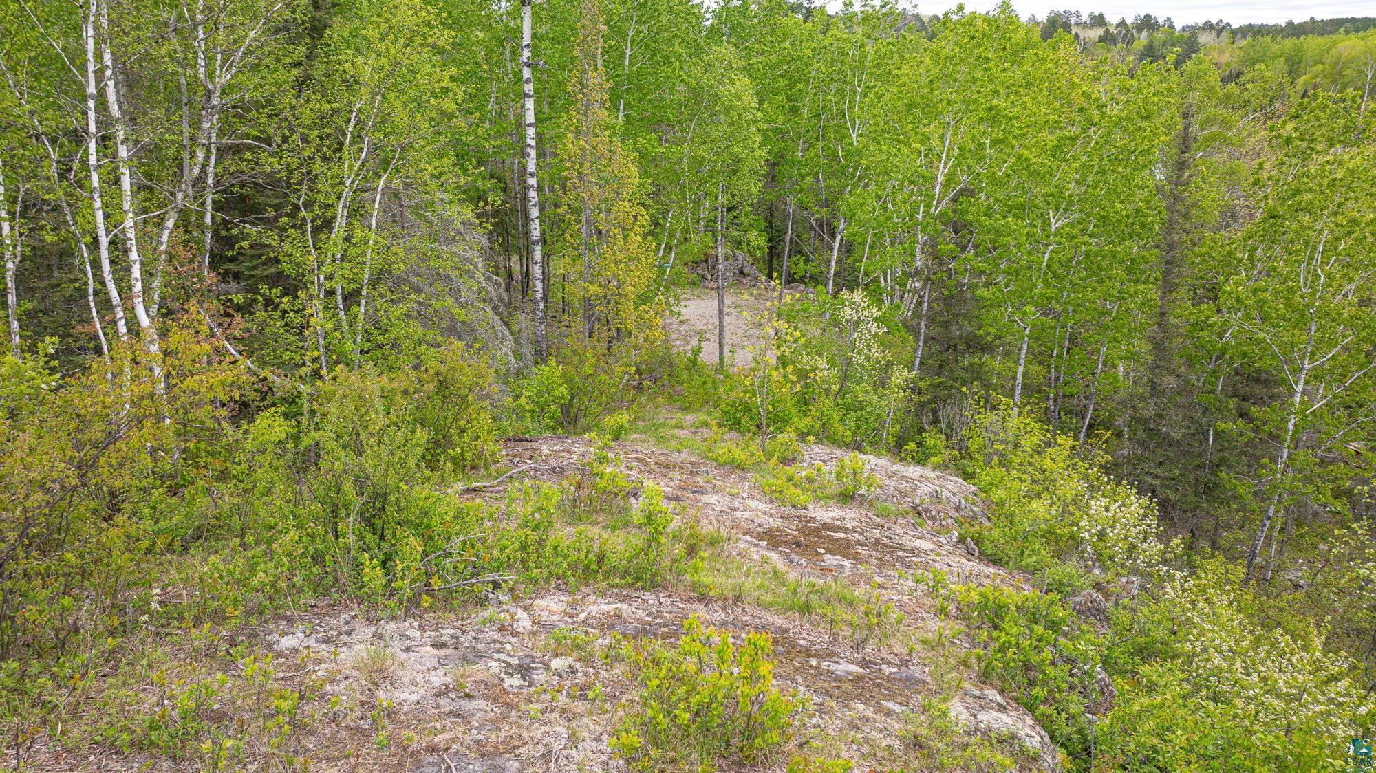 3168 Wolf Lake Road Ely, MN 55731 - Photo 43 of 48