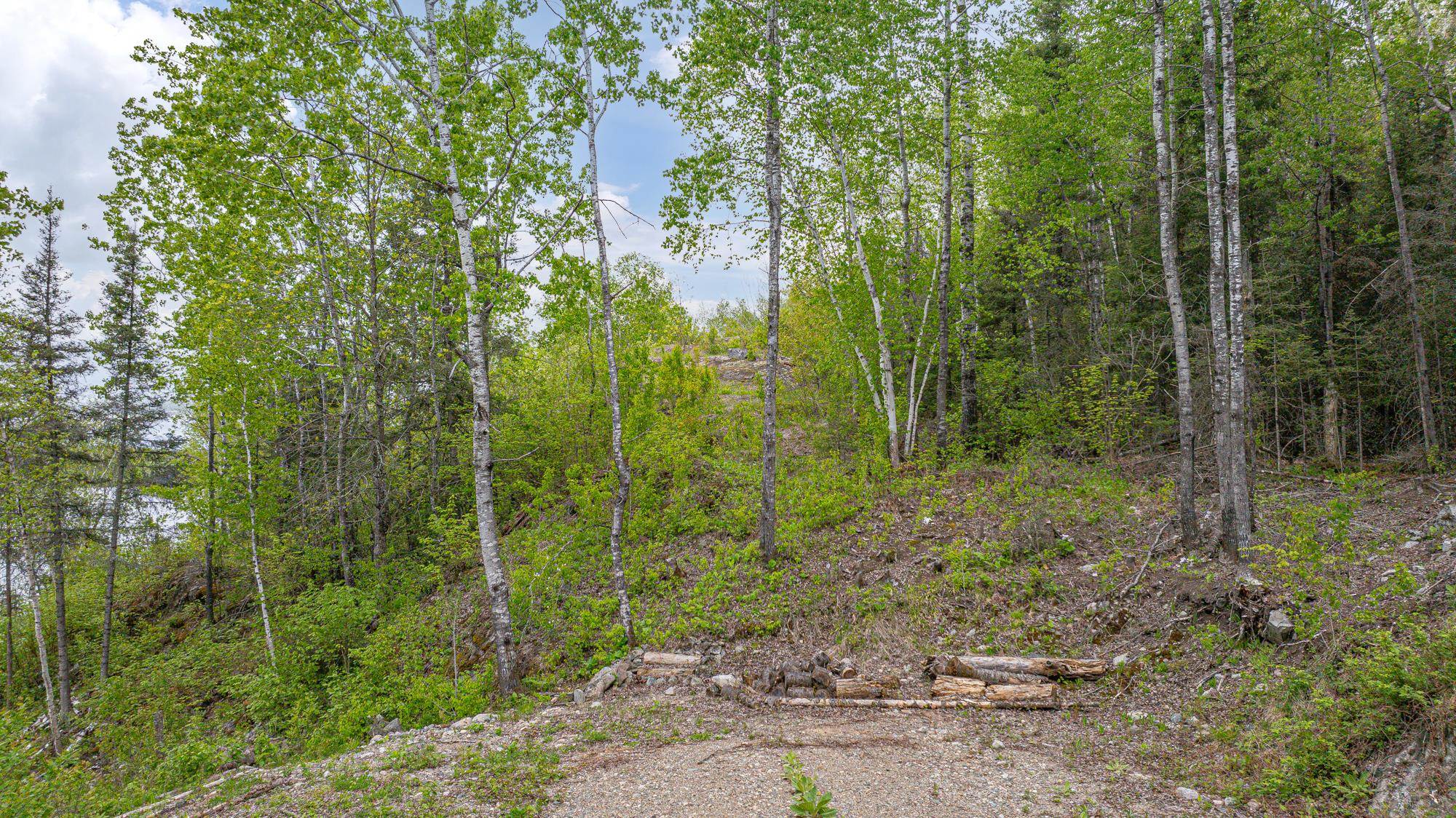 3168 Wolf Lake Road Ely, MN 55731 - Photo 44 of 48