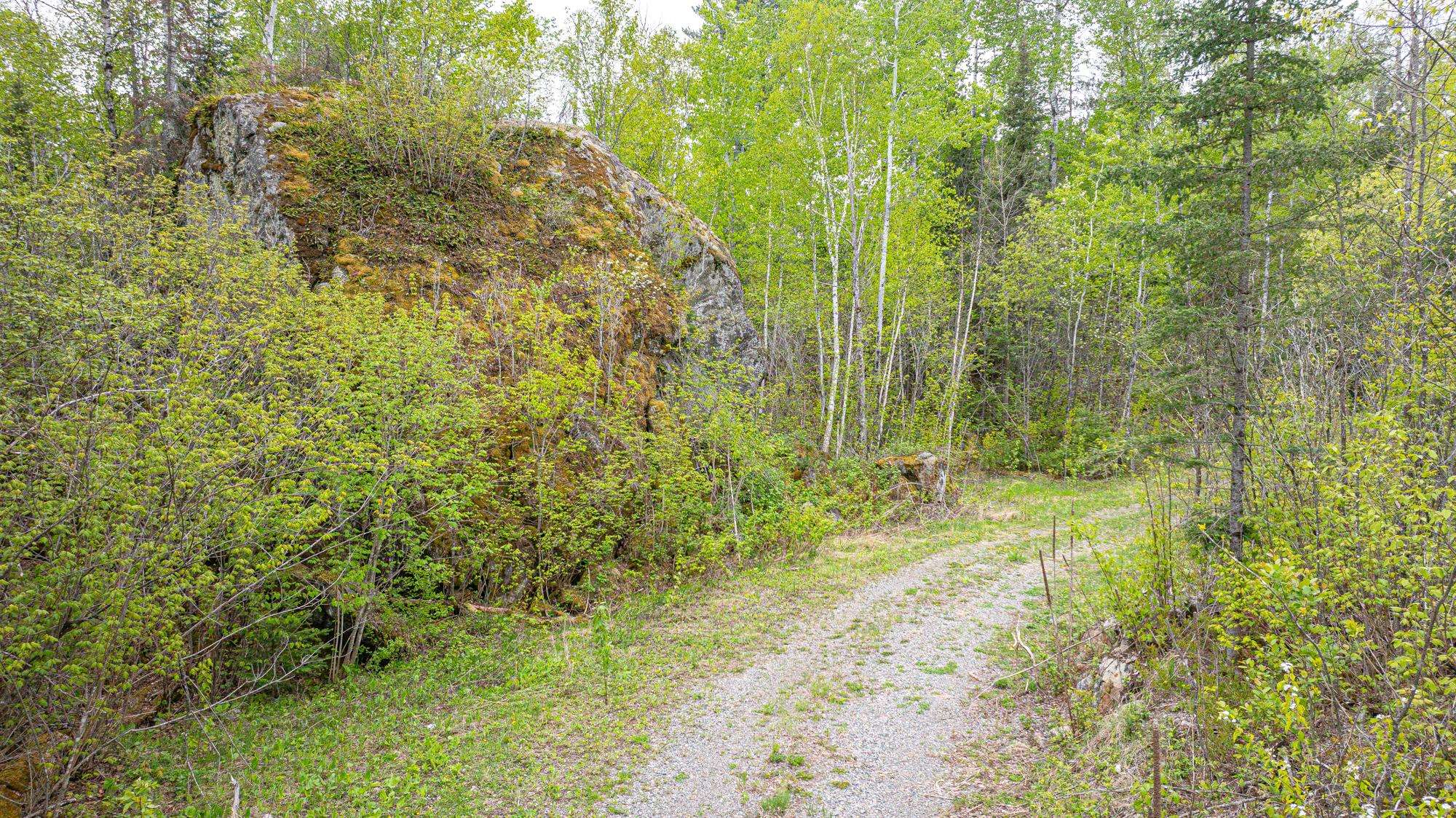 3168 Wolf Lake Road Ely, MN 55731 - Photo 47 of 48