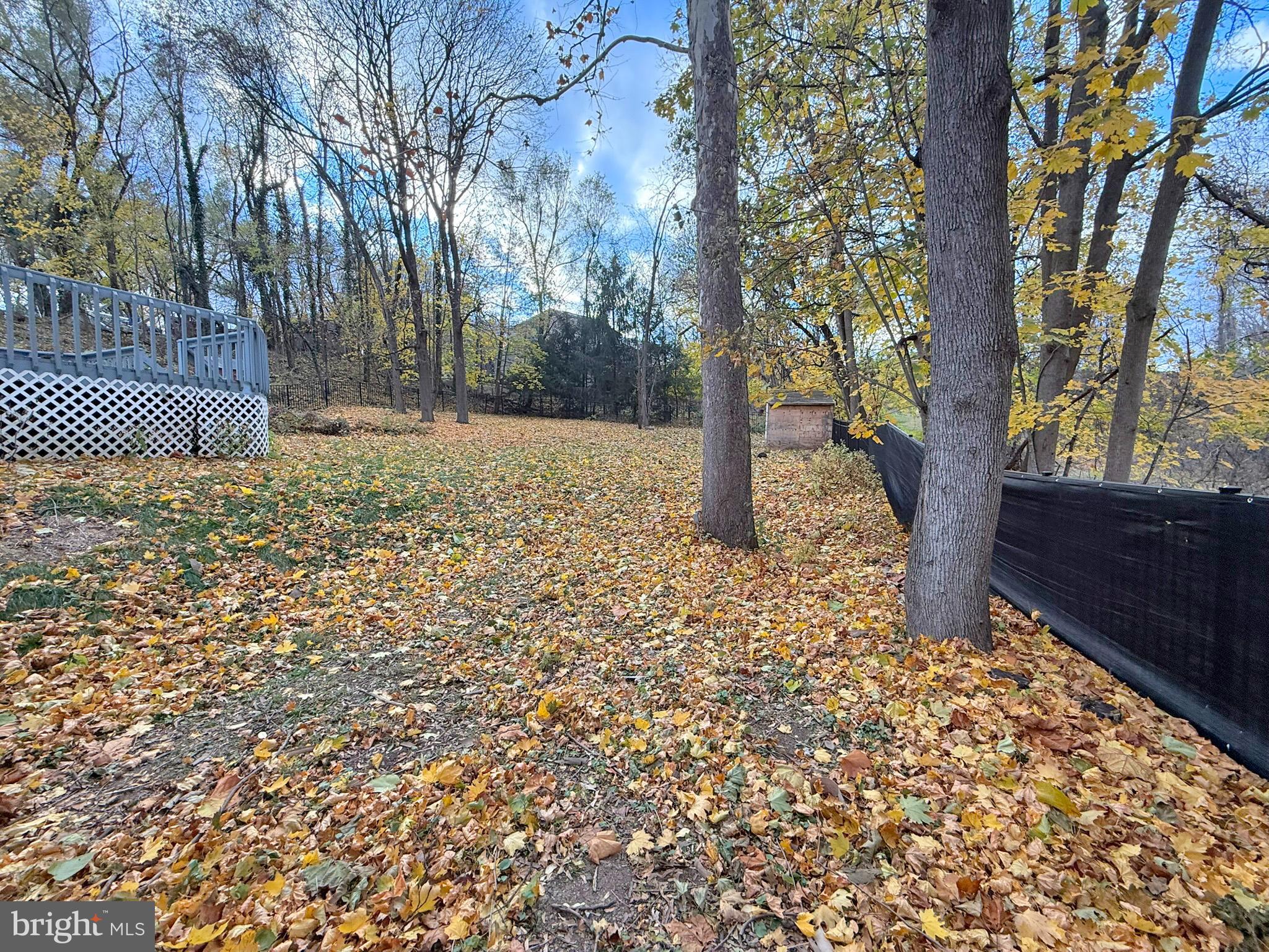 1316 Edgemont Road Harrisburg, PA 17109 - Photo 18 of 21 a view of a yard with a tree