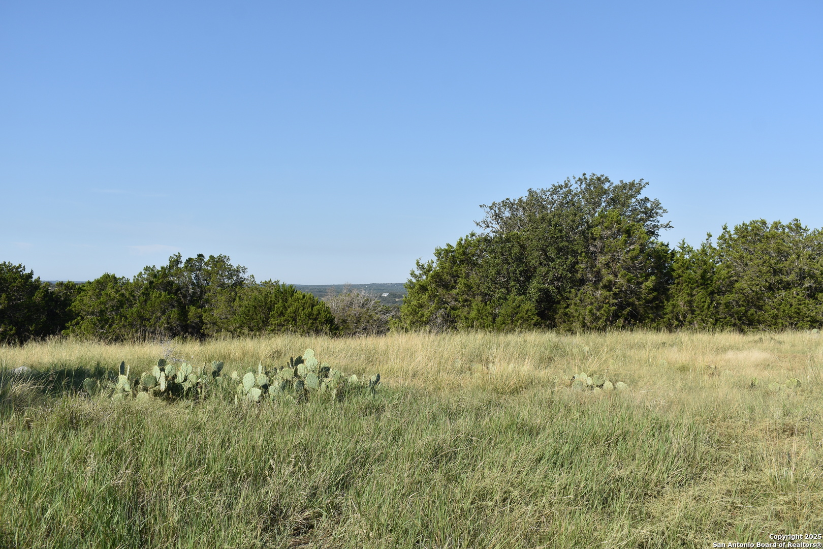16 Pr Folk Tale Road Harper, TX 78631 - Photo 1 of 1