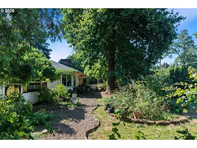 a view of backyard with plants and outdoor seating
