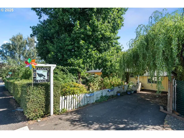 a view of outdoor space and yard
