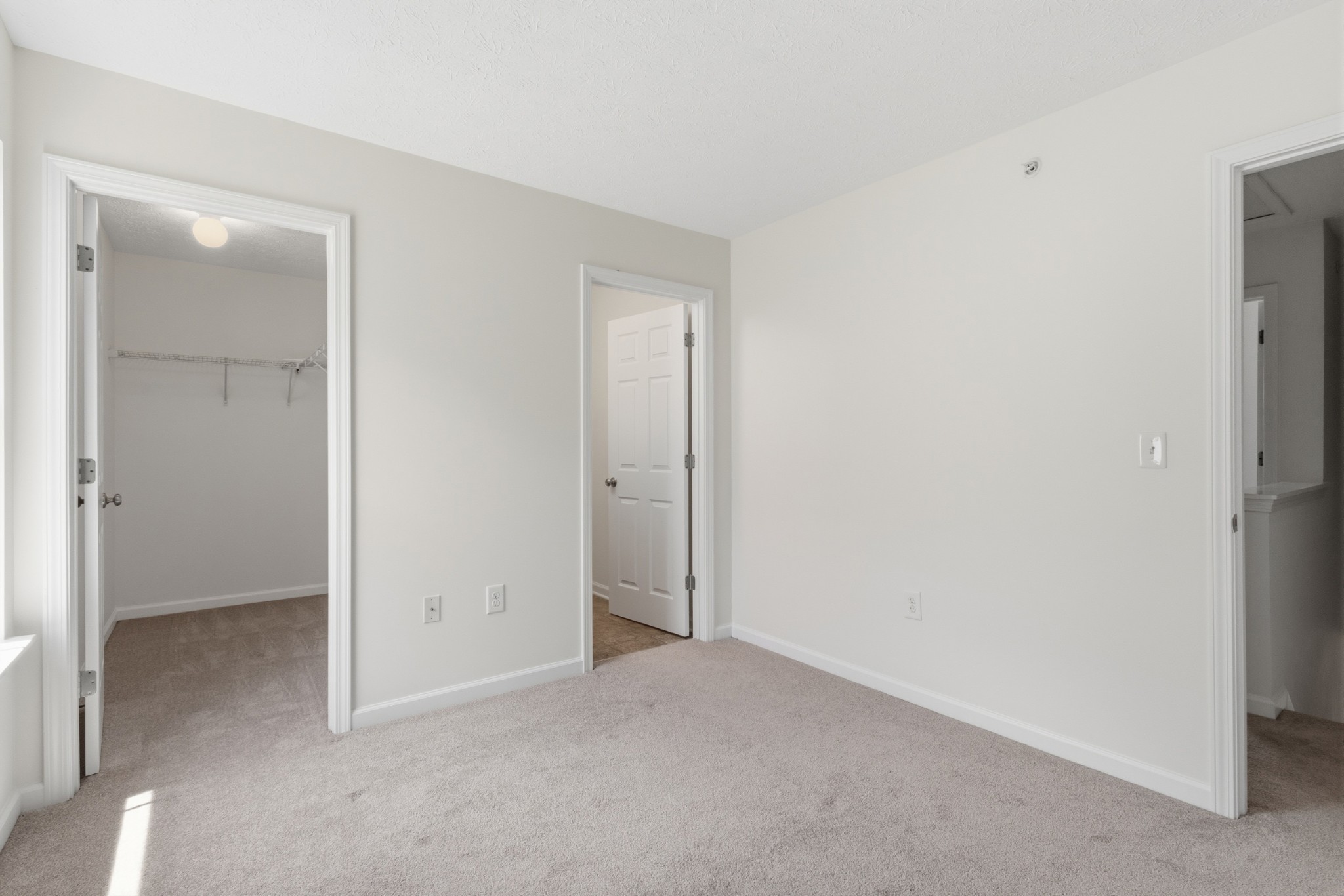 2017 Arum Court Spring Hill, TN 37174 - Photo 15 of 25