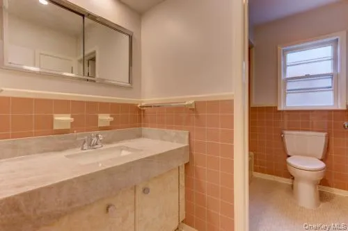 a bathroom with a sink a toilet and mirror