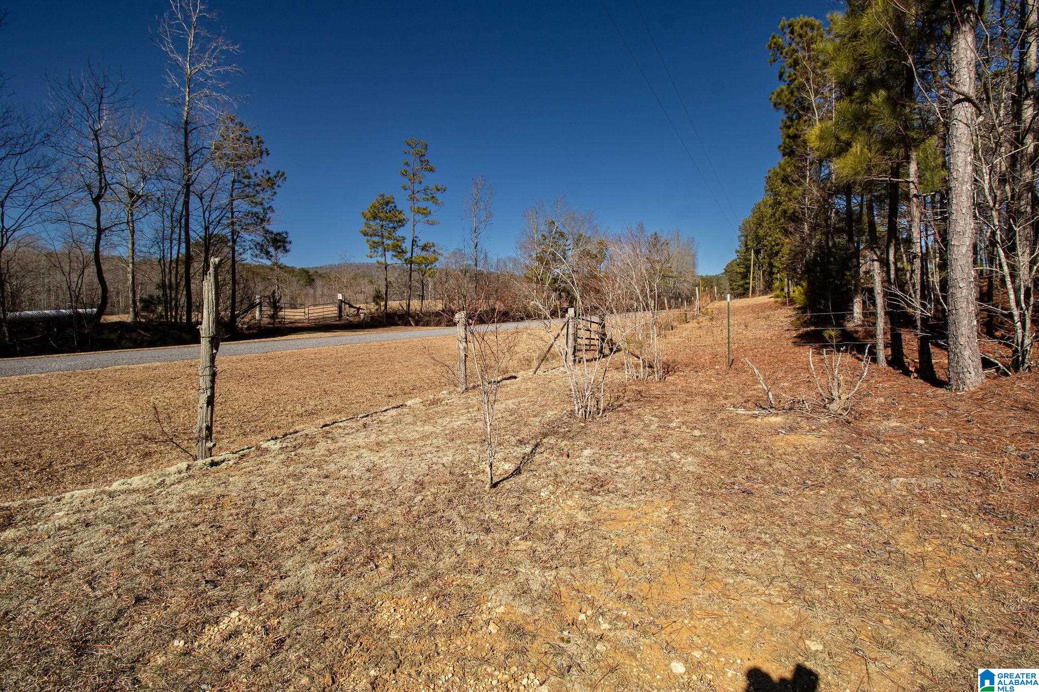 1809 Blue Ridge Road Lineville, AL 36266 - Photo 55 of 69