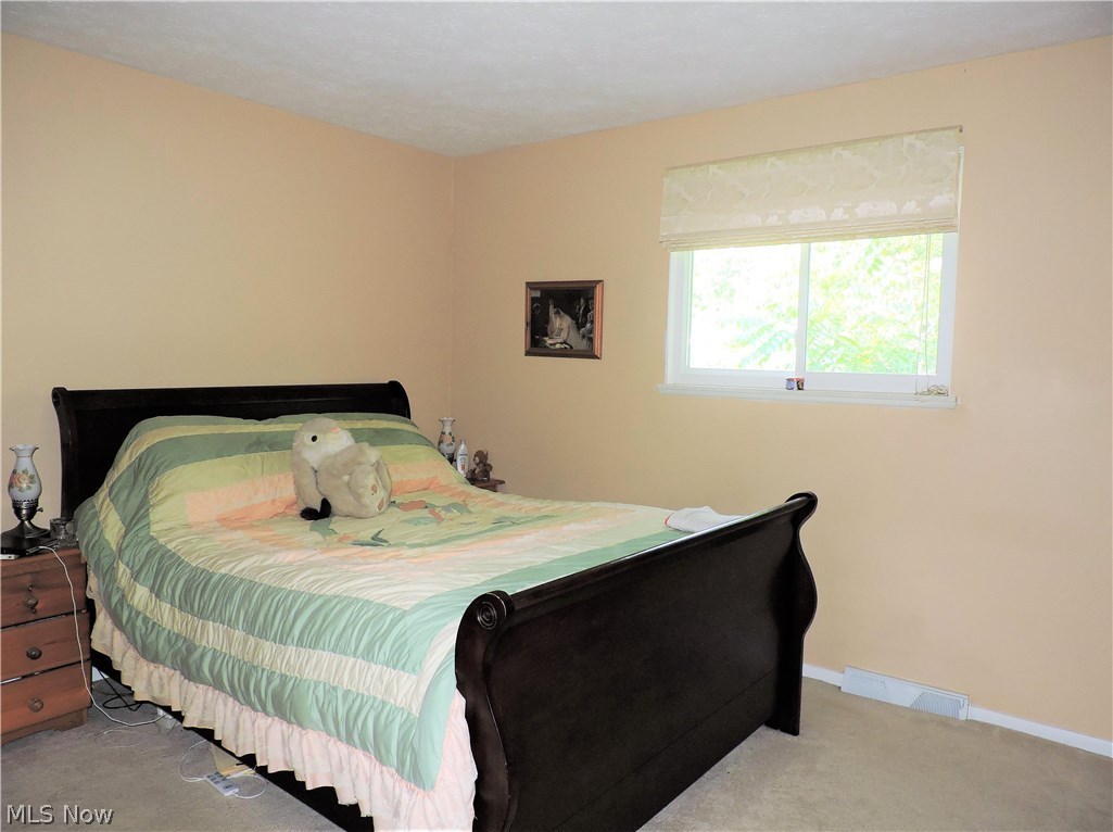 1149 Novak Road Grafton, OH 44044 - Photo 10 of 19 Gallery Image 10