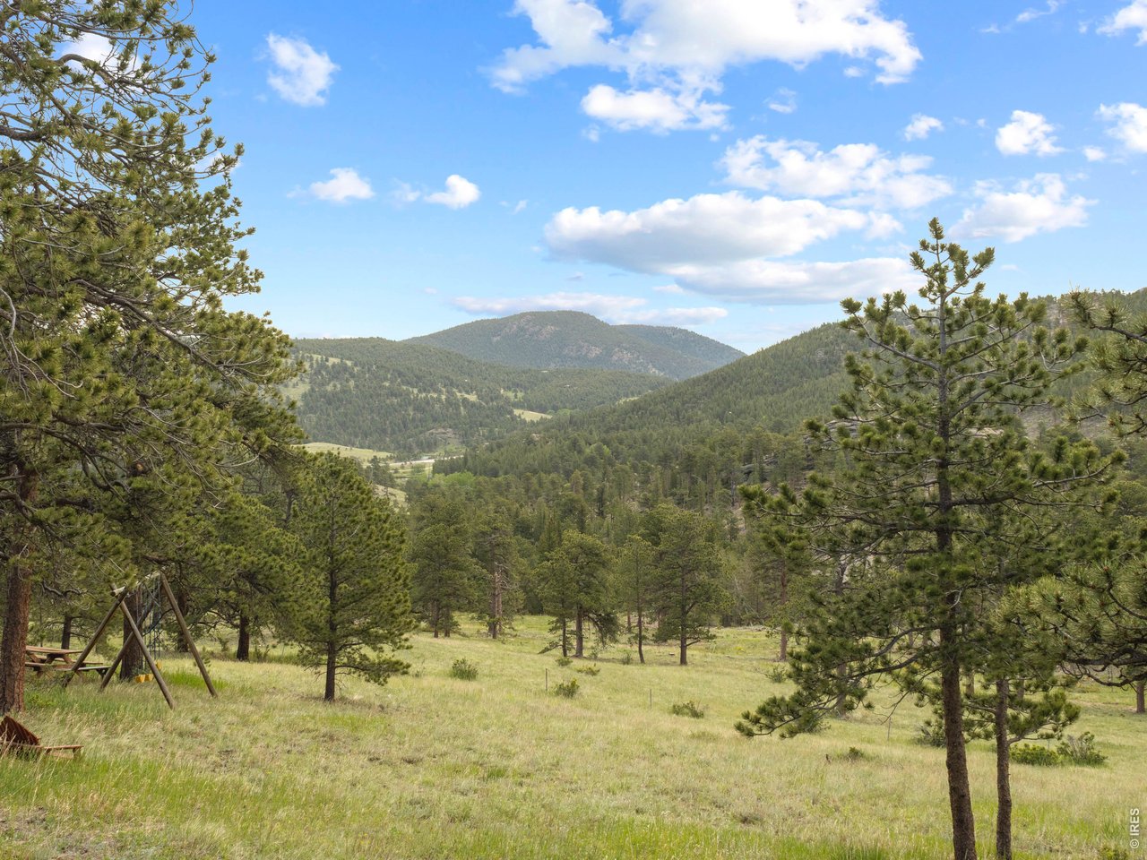 839 Ski Road Allenspark, CO 80510 - Photo 28 of 38
