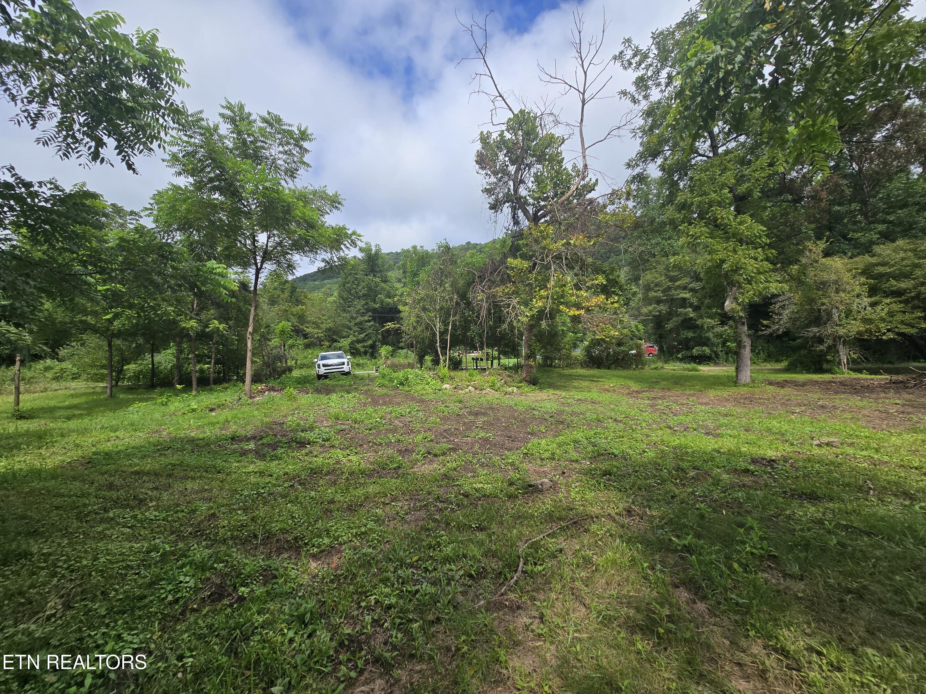 0 Valley Spring Road Rose Hill, VA 24281 - Photo 13 of 17 1000036487