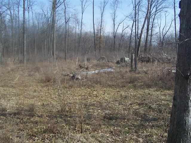 4901 North 100 West Decatur, IN 46733 - Photo 6 of 7