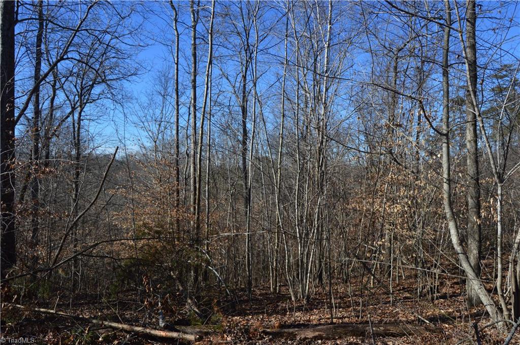 0 Duggins Road Madison, NC 27025 - Photo 14 of 26