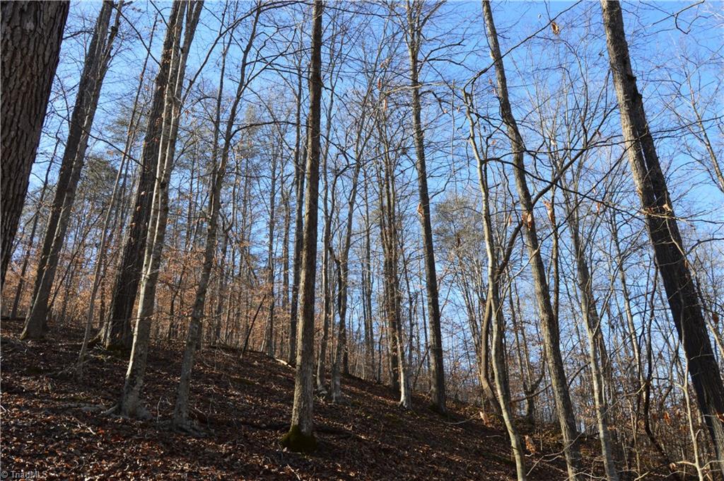0 Duggins Road Madison, NC 27025 - Photo 22 of 26