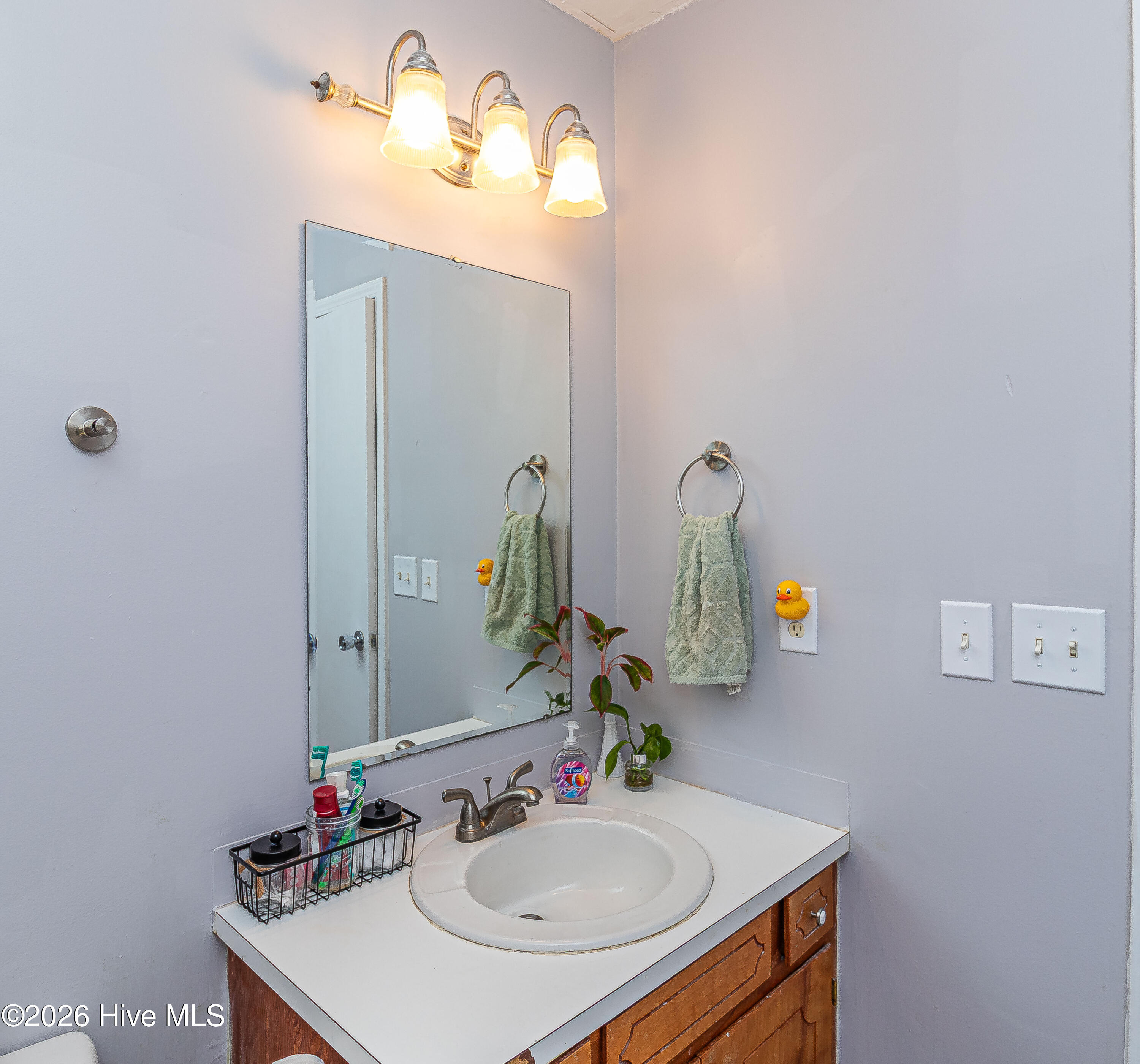 989 Garner Chapel Road Mount Olive, NC 28365 - Photo 17 of 25 Prim Bath