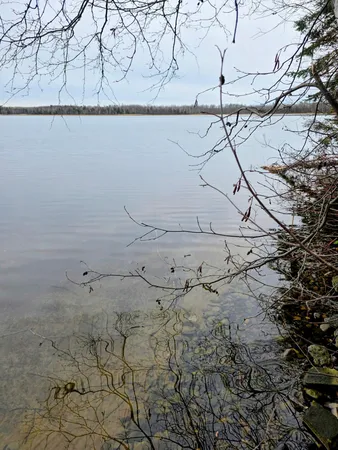 $325,000 | 40749 County Road 612, Nashwauk, MN 55769