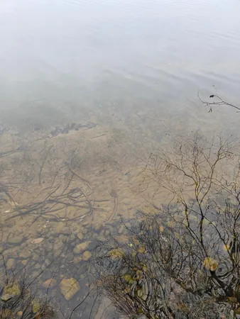 $325,000 | 40749 County Road 612, Nashwauk, MN 55769