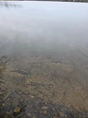 $325,000 | 40749 County Road 612, Nashwauk, MN 55769