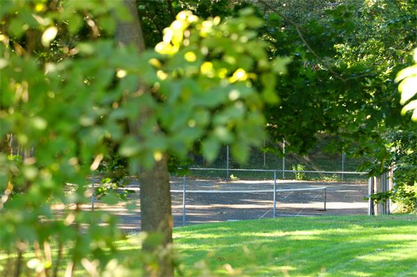 7 Norton's Point Road Manchester, MA 01944 - Photo 14 of 29 a view of a tree with a yard