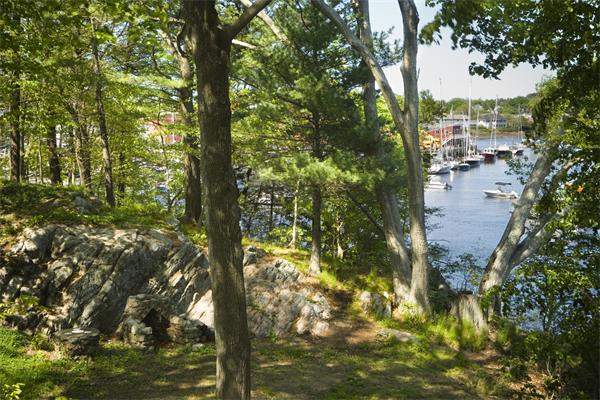 7 Norton's Point Road Manchester, MA 01944 - Photo 19 of 29 a view of city from a tree