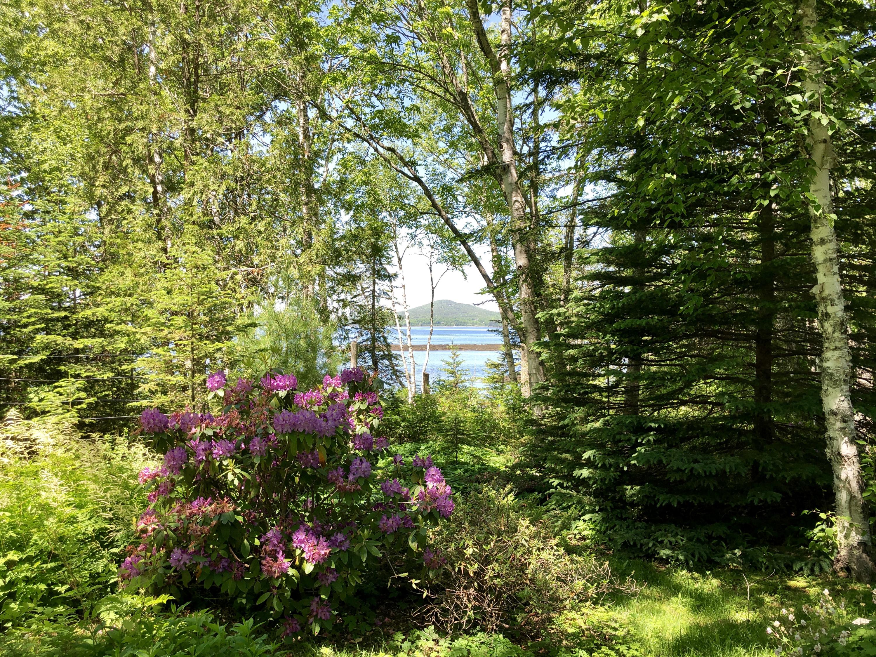 517 Ferry Road Islesboro, ME 04848 - Photo 10 of 18 10