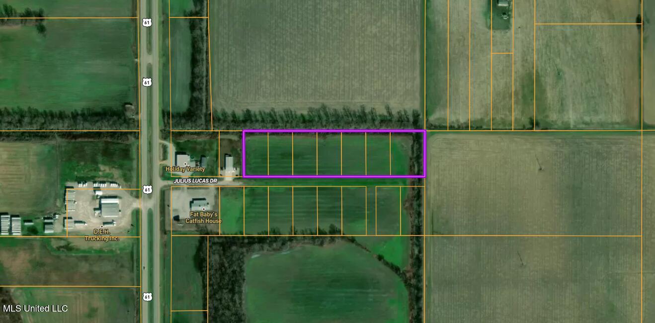 Lucas Road Cleveland, MS 38732 - Photo 21 of 22 Aerial Map