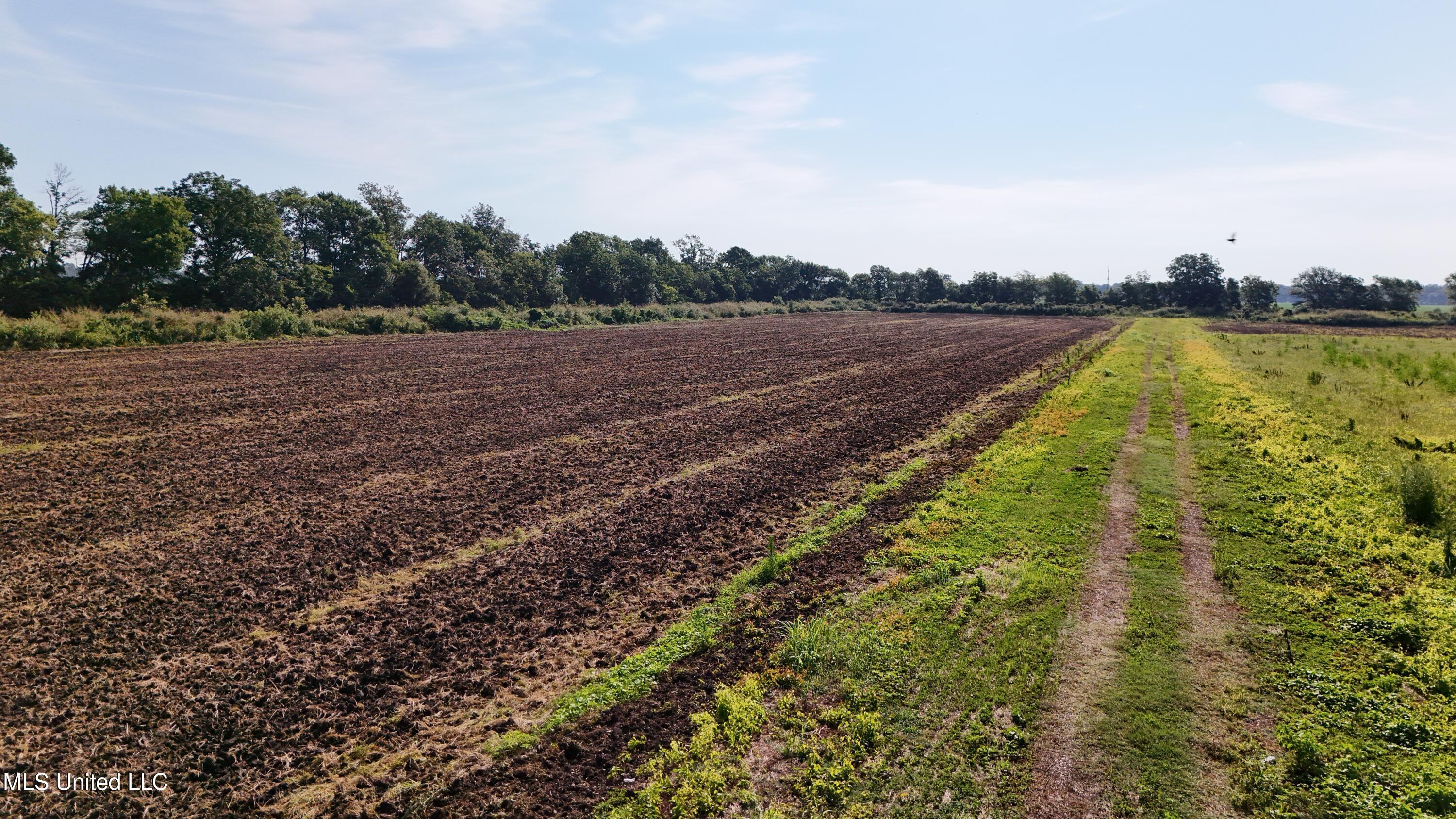 Lucas Road Cleveland, MS 38732 - Photo 5 of 22 DJI_20250702091259_0820_D