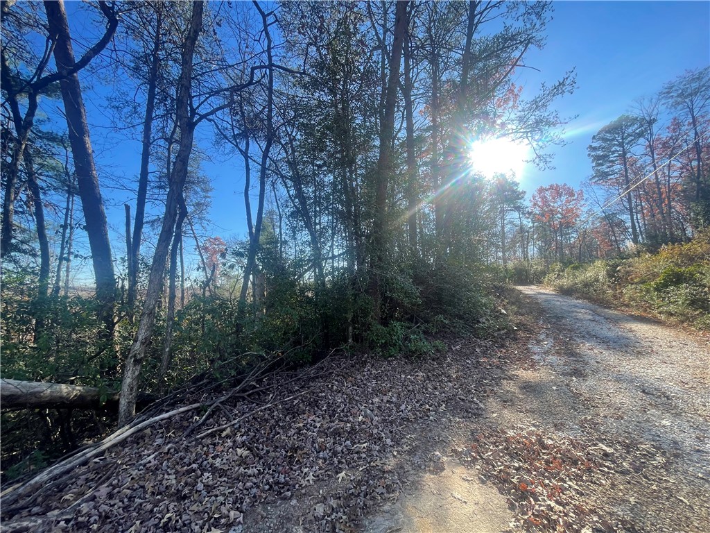 Lot 6-and Knox Creek Road Tamassee, SC 29686 - Photo 3 of 10