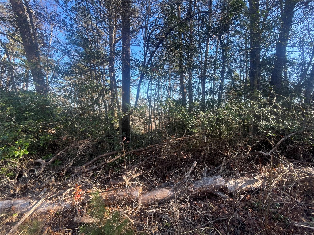 Lot 6-and Knox Creek Road Tamassee, SC 29686 - Photo 4 of 10